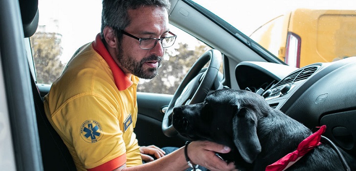 Las ambulancias dan la bienvenida a los perros guía